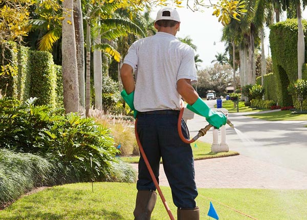 About Coleman MI Pest Control